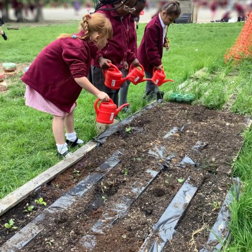 Gardening Zone